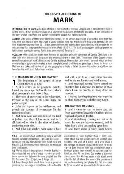 KJV Study Bible KJV Study Bible - Large Print [Hummingbird Lilacs], (Hardcover)