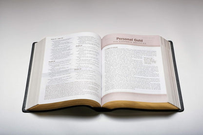 Every Man'S Bible: New Living Translation, Deluxe Explorer Edition (Leatherlike, Brown) – Study Bible for Men with Study Notes, Book Introductions, and 44 Charts