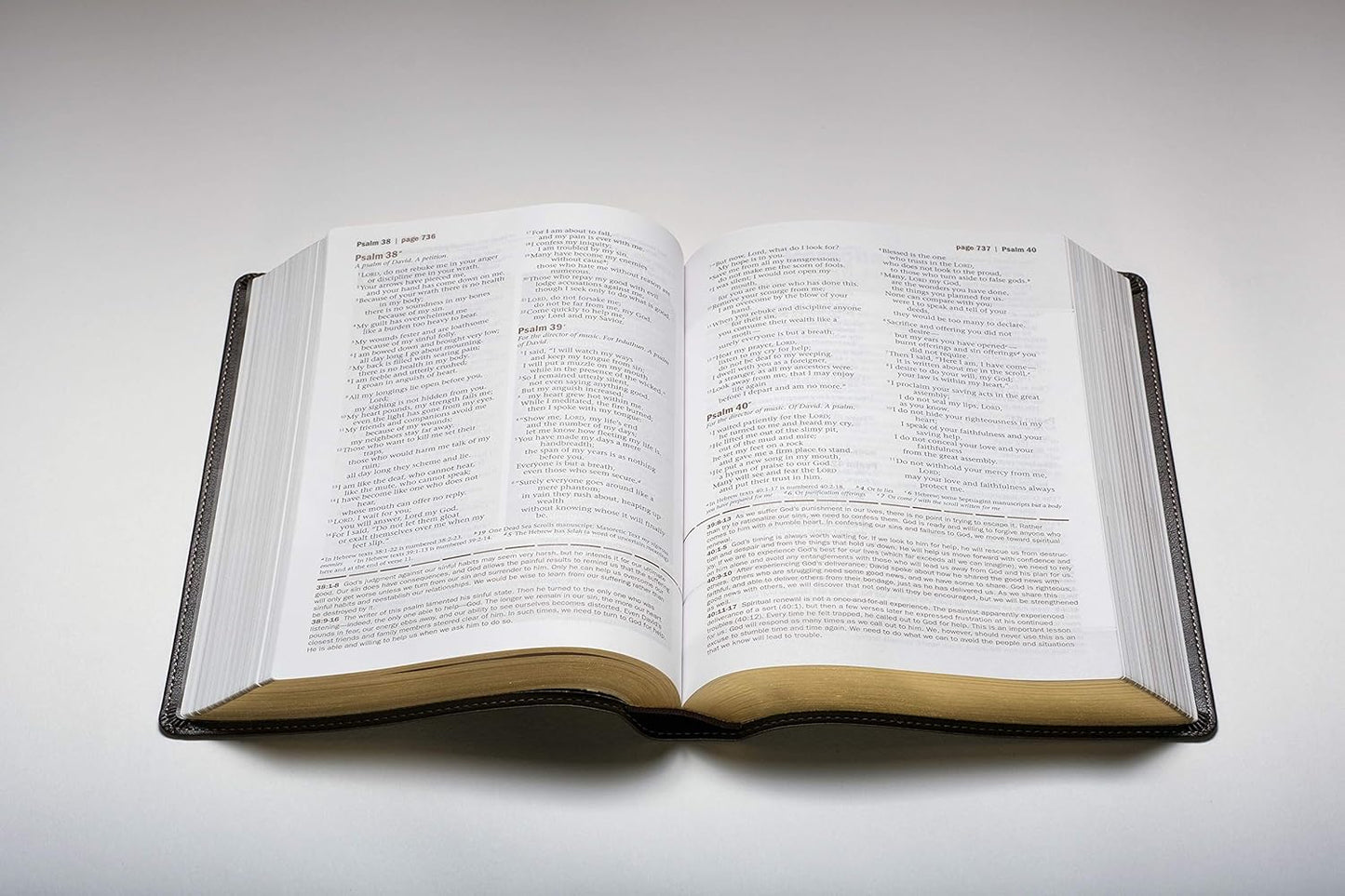 Every Man'S Bible: New Living Translation, Deluxe Explorer Edition (Leatherlike, Brown) – Study Bible for Men with Study Notes, Book Introductions, and 44 Charts
