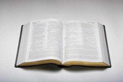 Every Man'S Bible: New Living Translation, Deluxe Explorer Edition (Leatherlike, Brown) – Study Bible for Men with Study Notes, Book Introductions, and 44 Charts