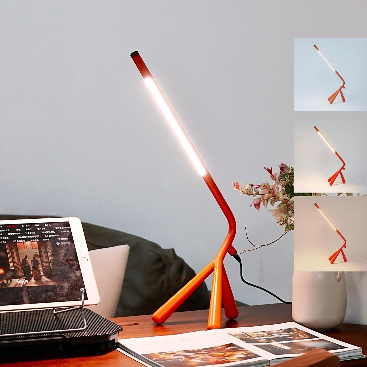 LED Creative Desk Lamp with USB Tybe-C Stepless Dimmable Eye Caring Desk Light for Home Office Bedroom Bedside College Dorm, Reading Lamp,Decorative Gift Table Lamp Red Orange