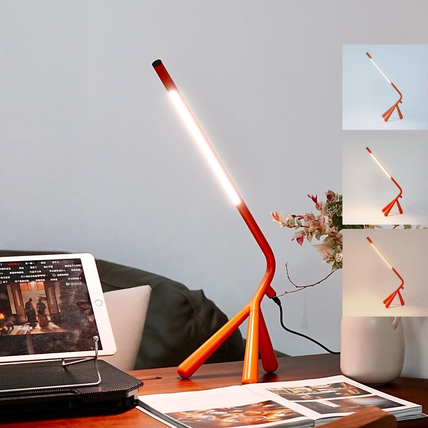 LED Creative Desk Lamp with USB Tybe-C Stepless Dimmable Eye Caring Desk Light for Home Office Bedroom Bedside College Dorm, Reading Lamp,Decorative Gift Table Lamp Red Orange