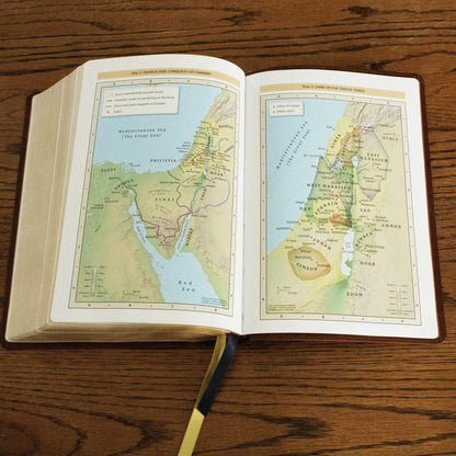 Nkjv, the Bible Study Bible, Leathersoft, Brown, Comfort Print: a Study Guide for Every Chapter of the Bible, (Hardcover)