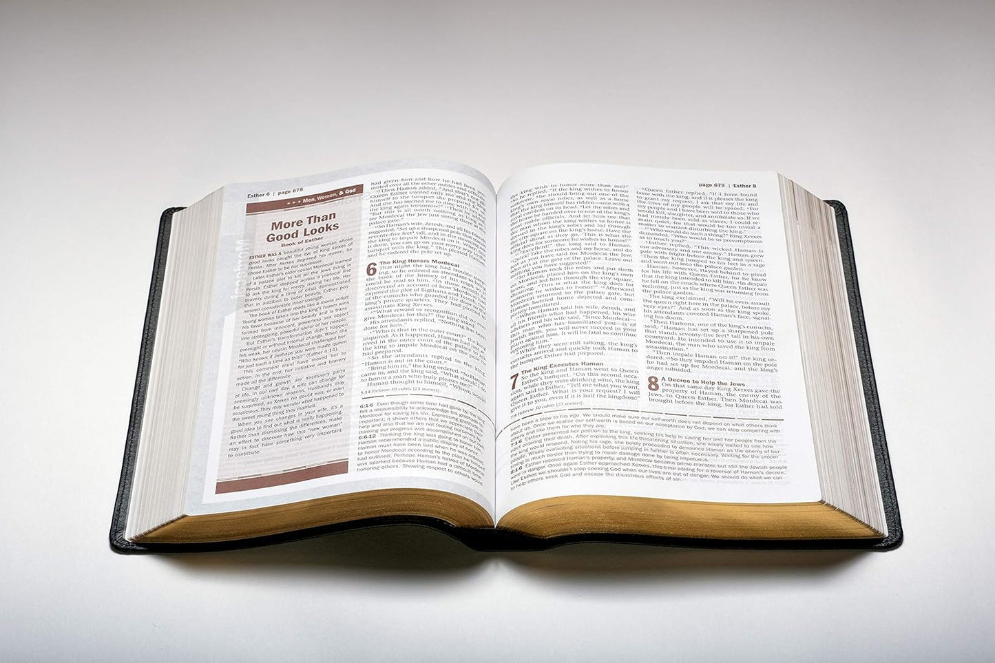 Every Man'S Bible: New Living Translation, Deluxe Explorer Edition (Leatherlike, Brown) – Study Bible for Men with Study Notes, Book Introductions, and 44 Charts
