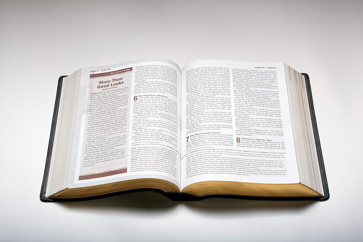 Every Man'S Bible: New Living Translation, Deluxe Explorer Edition (Leatherlike, Brown) – Study Bible for Men with Study Notes, Book Introductions, and 44 Charts
