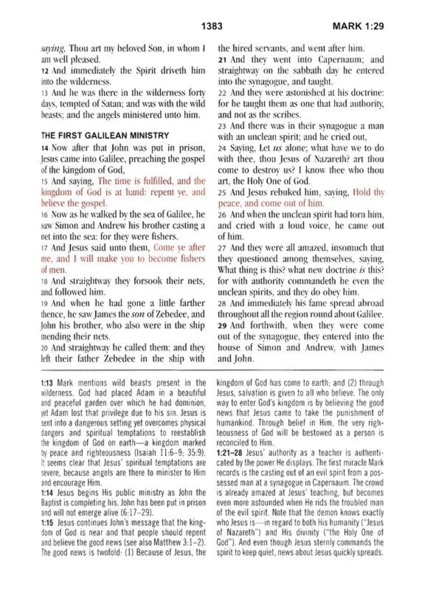 KJV Study Bible KJV Study Bible - Large Print [Hummingbird Lilacs], (Hardcover)