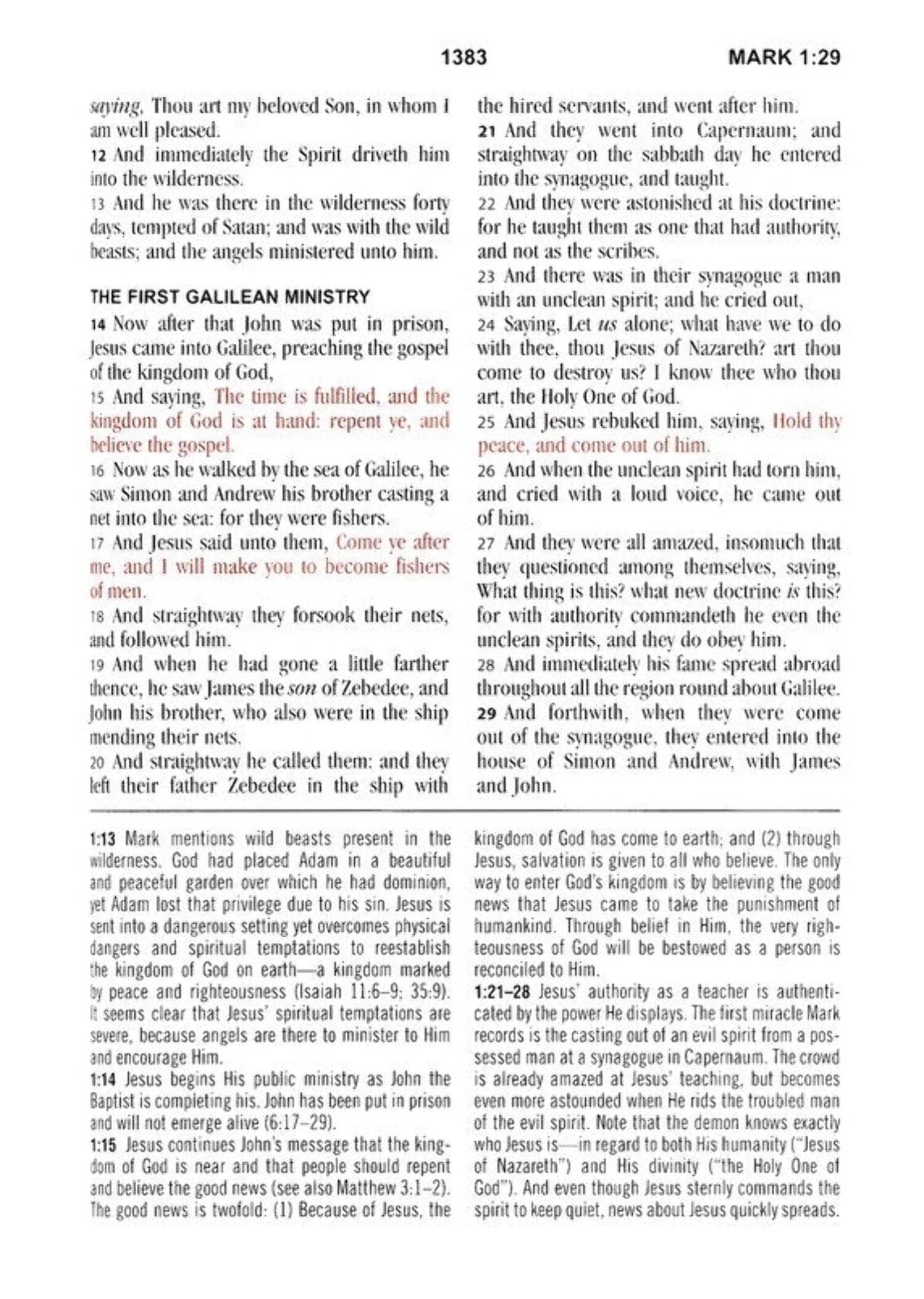 KJV Study Bible KJV Study Bible - Large Print [Hummingbird Lilacs], (Hardcover)