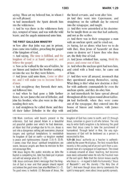 KJV Study Bible KJV Study Bible - Large Print [Hummingbird Lilacs], (Hardcover)