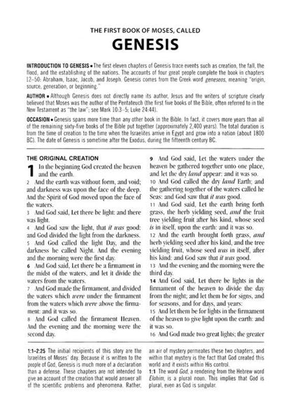 KJV Study Bible KJV Study Bible - Large Print [Hummingbird Lilacs], (Hardcover)